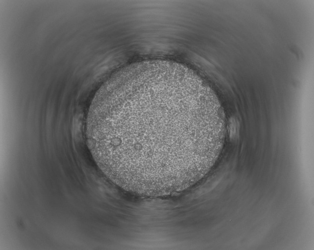 X0000113881059200910221351