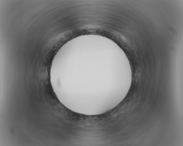X0000113881062200910221351