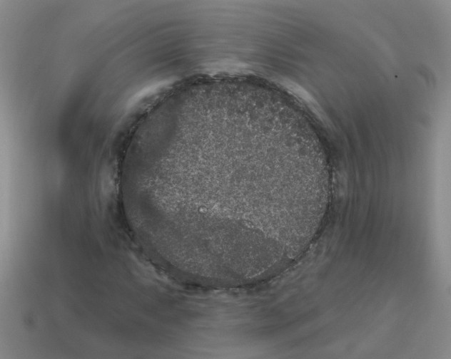 X0000113881063200910221351
