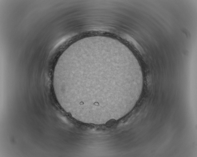 X0000113881064200910221351