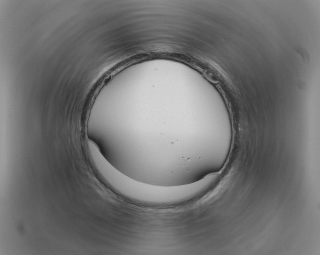 X0000113881065200910221351