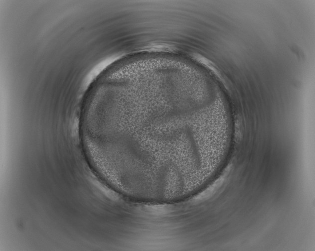 X0000113881066200910221351