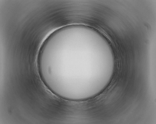 X0000113881068200910221351