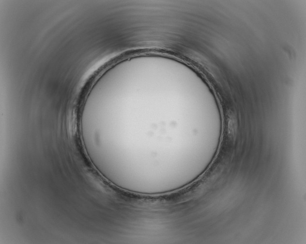 X0000113881069200910221351