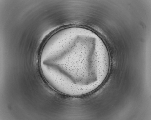 X0000113881070200910221351