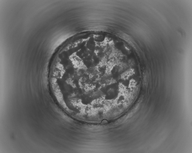 X0000113881071200910221351