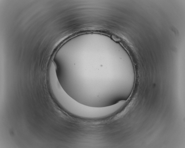 X0000113881073200910221351