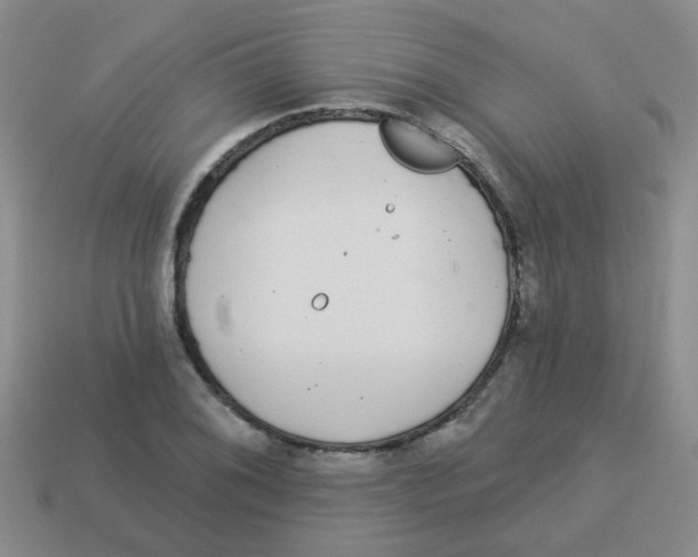 X0000113881076200910221351