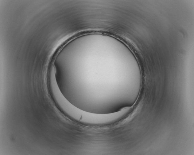 X0000113881077200910221351