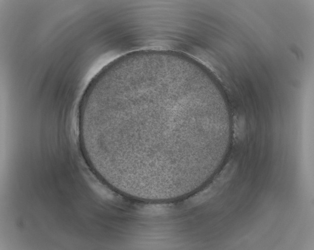 X0000113881078200910221351