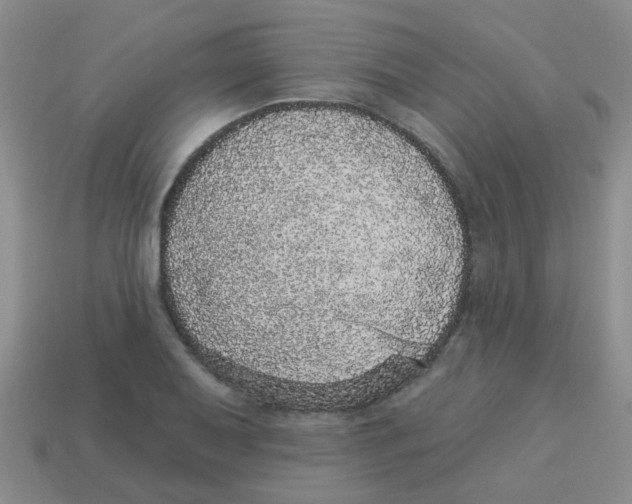 X0000113881079200910221351