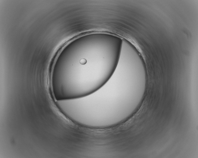X0000113881080200910221351