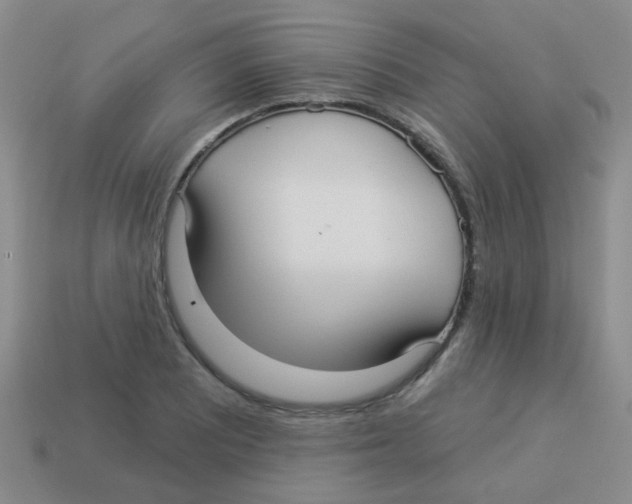 X0000113881081200910221351