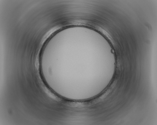 X0000113881082200910221351