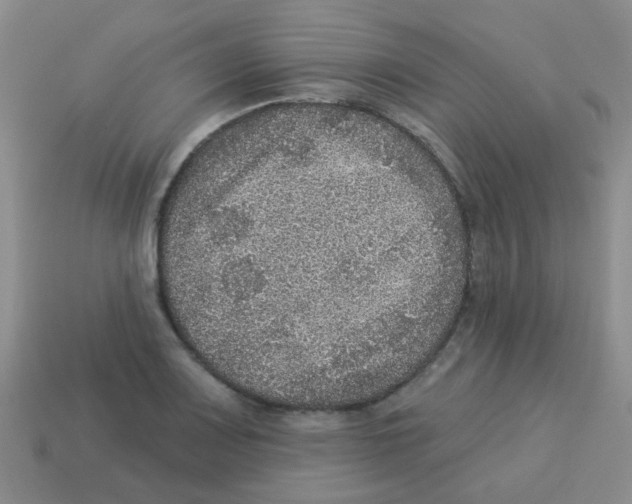 X0000113881083200910221351
