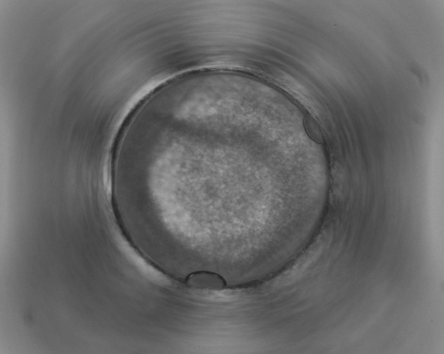 X0000113881084200910221351