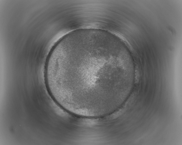 X0000113881086200910221351