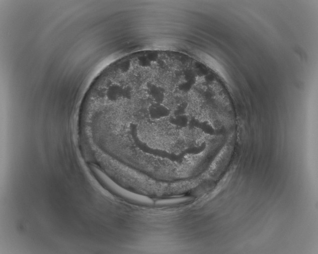 X0000113881087200910221351