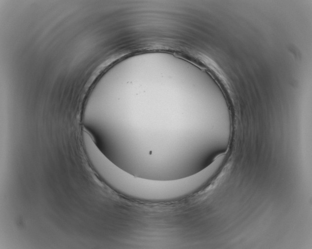 X0000113881089200910221351