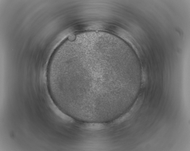 X0000113881090200910221351