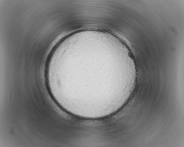X0000113881091200910221351