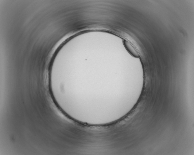 X0000113881092200910221351