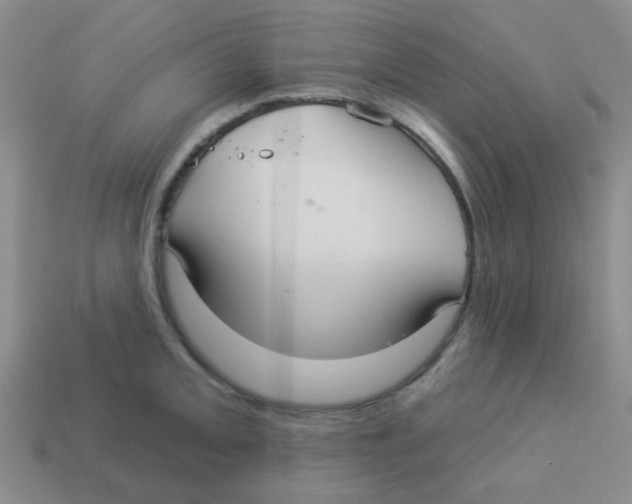 X0000113881093200910221351