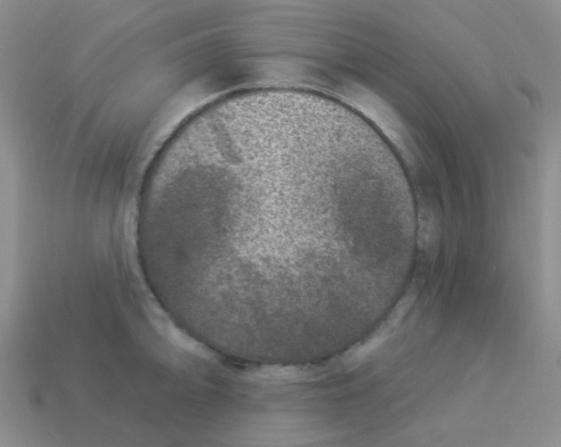 X0000113881094200910221351
