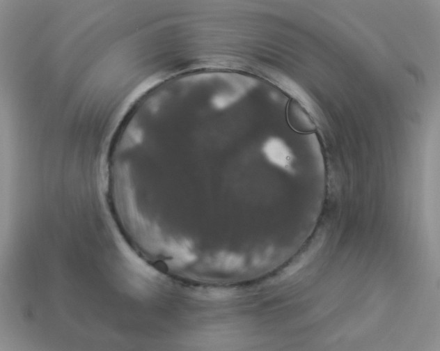 X0000113881095200910221351