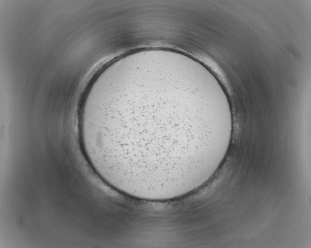 X0000113881096200910221351