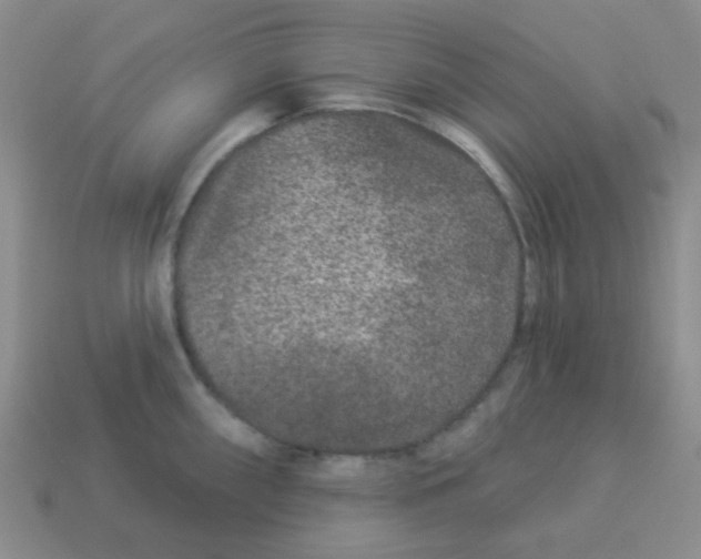 X0000113881098200910221350