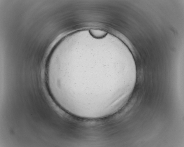 X0000113881099200910221350