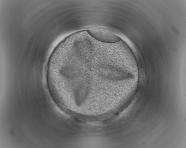 X0000113881102200910221350