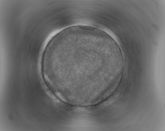 X0000113881104200910221350
