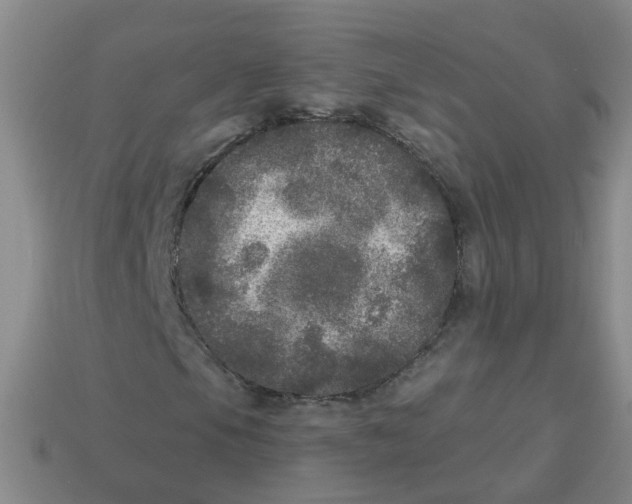 X0000113881105200910221350