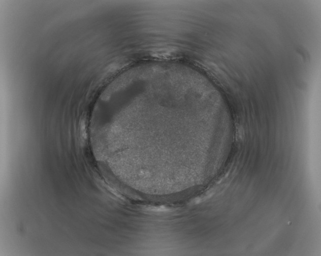 X0000113881106200910221350