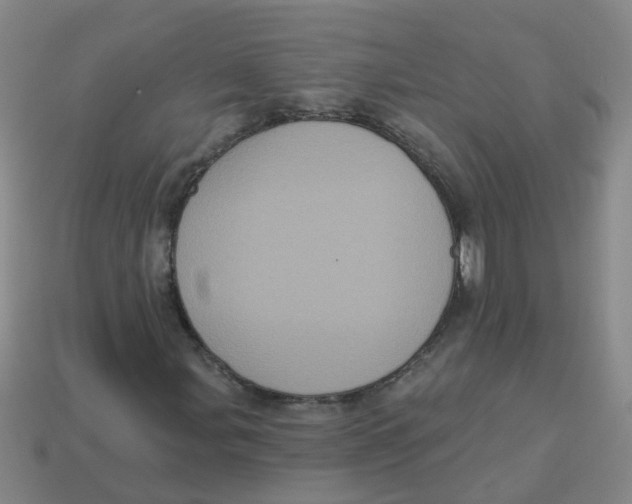 X0000113881107200910221350