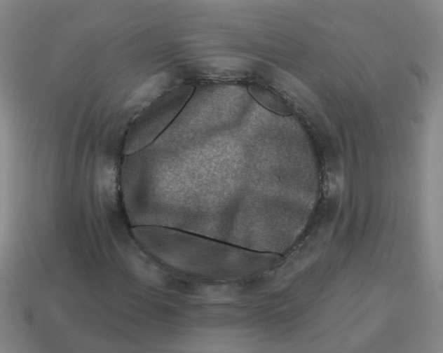 X0000113881108200910221350