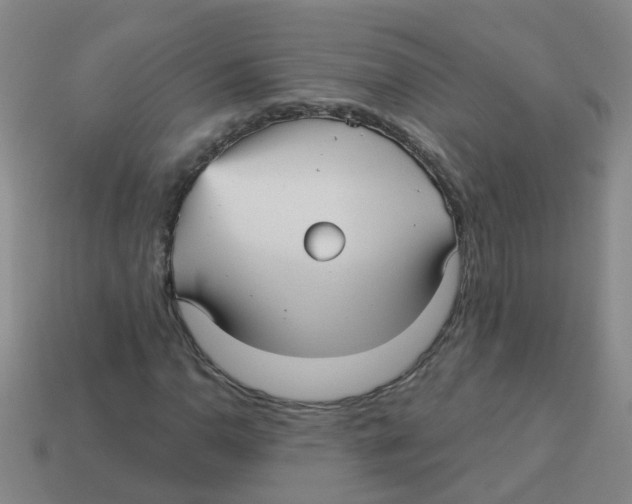 X0000113881110200910221350