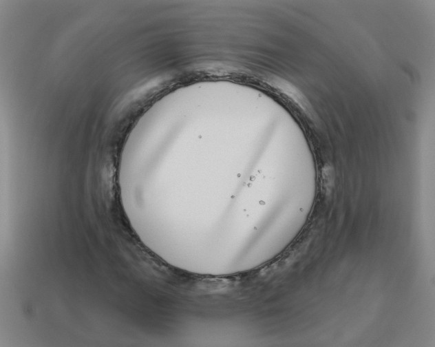 X0000113881111200910221350