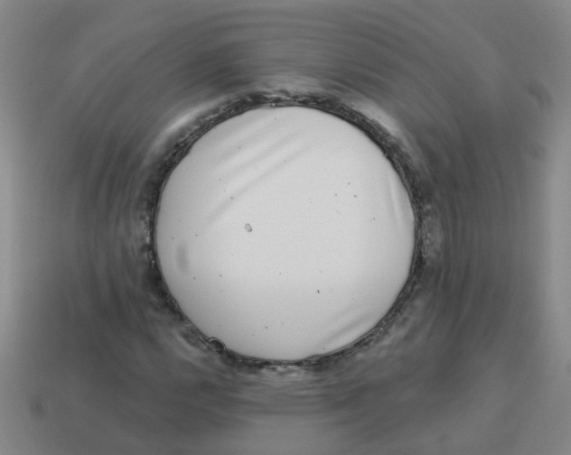 X0000113881112200910221350