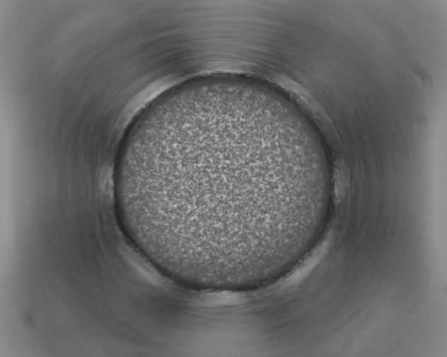 X0000113881113200910221350