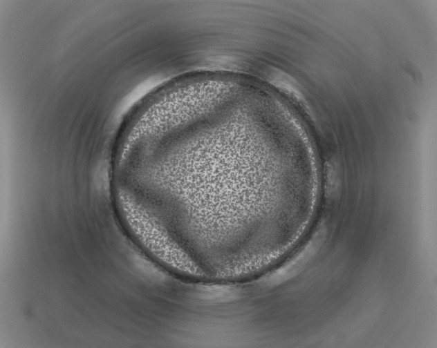 X0000113881114200910221350