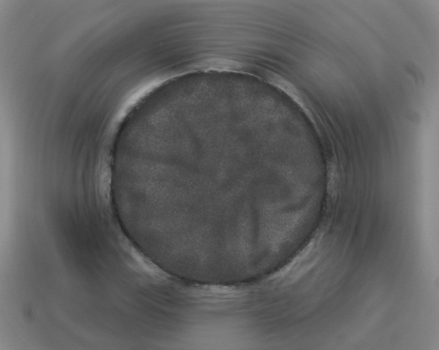X0000113881115200910221350