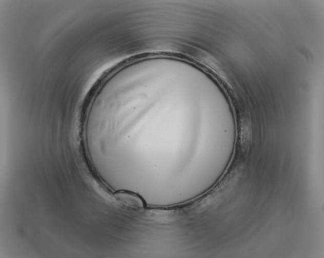 X0000113881116200910221350