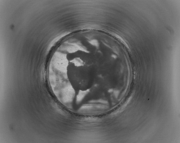 X0000113881117200910221350