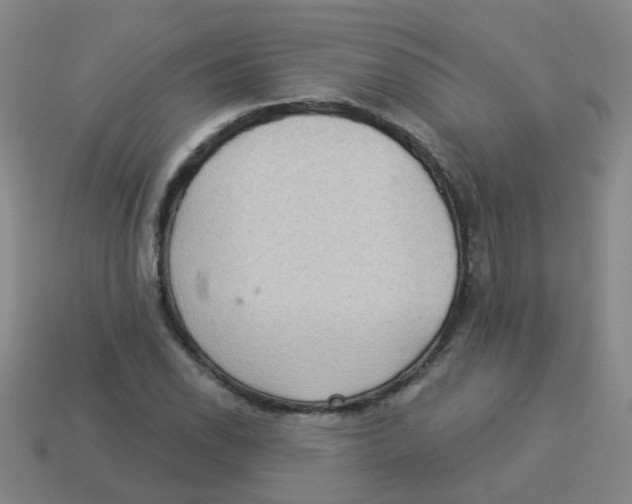 X0000113881118200910221350