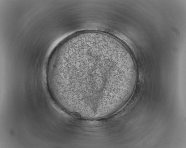 X0000113881120200910221350