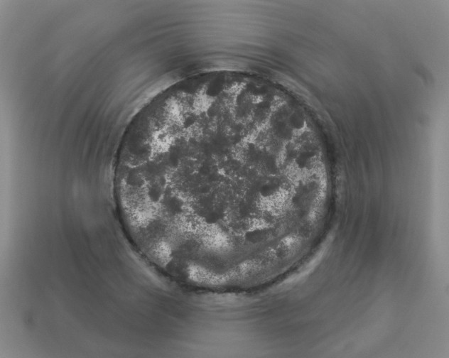 X0000113881121200910221350