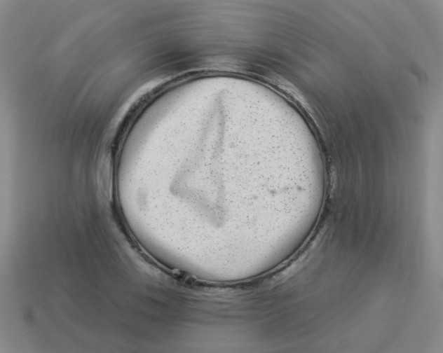 X0000113881123200910221350